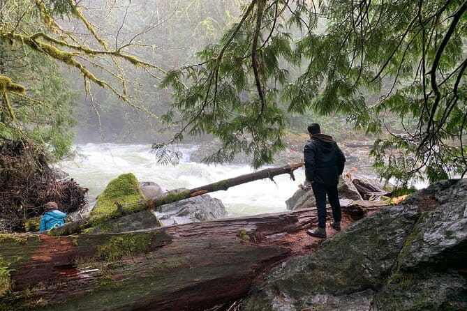 Guided forest hike to Seattle waterfalls incl. Snoqualmie Falls - What the Reviews Say