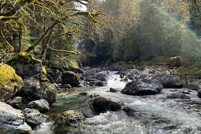 Guided forest hike to Seattle waterfalls incl. Snoqualmie Falls - Who Will Love This Tour?