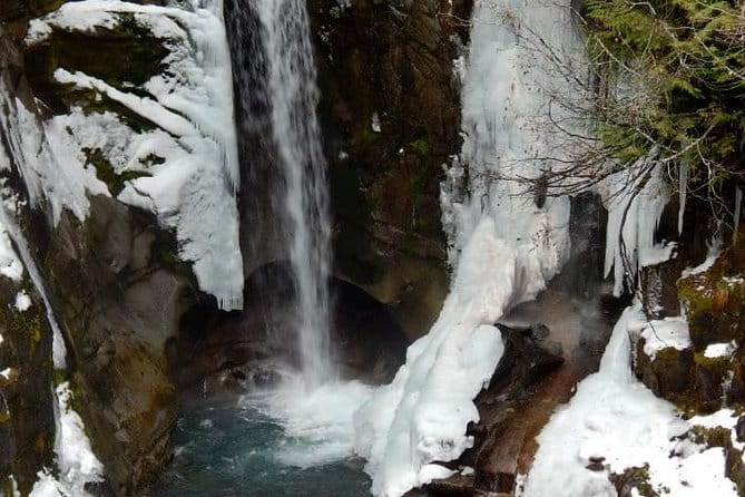 Mt. Rainier National Park Day Tour from Seattle - How the Tour Works for You
