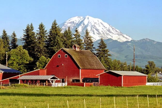 Mt. Rainier National Park Day Tour from Seattle - Practical Tips for Your Trip
