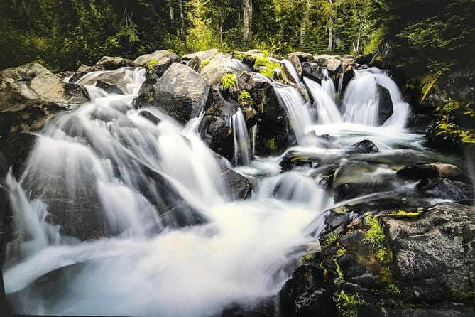 Mt. Rainier National Park Day Tour from Seattle - Who This Tour is Perfect For