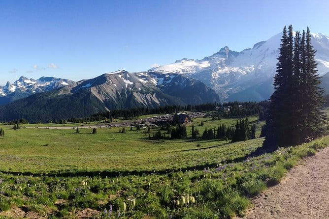 Best of Mount Rainier National Park from Seattle: All-Inclusive Small-Group Tour - Who Will Love This Tour?