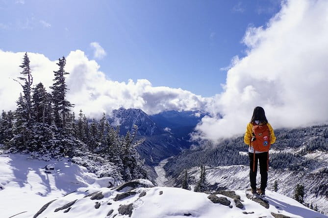 Best of Mount Rainier National Park from Seattle: All-Inclusive Small-Group Tour - FAQ