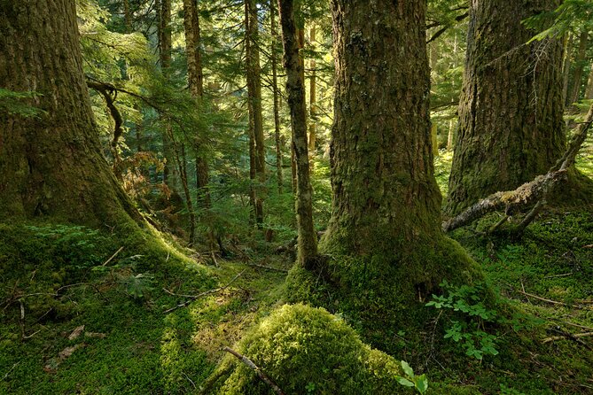 Visit Snoqualmie Falls and Hike to Twin Falls - The Sum Up: Who Will Love This Tour?