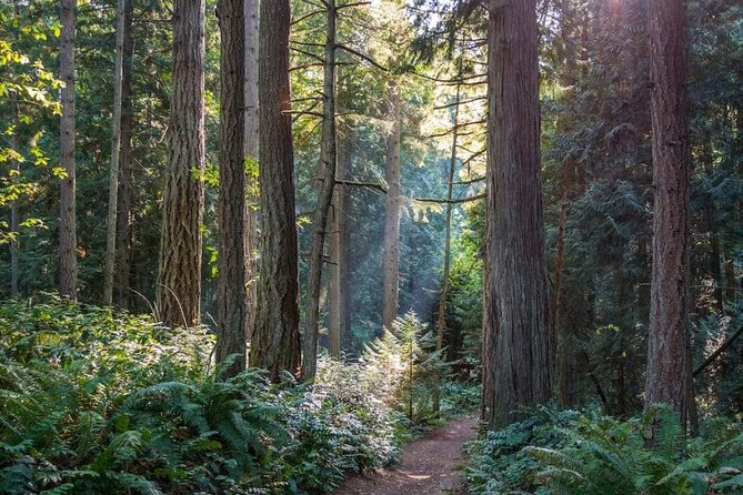 Visit Snoqualmie Falls and Hike to Twin Falls - FAQs
