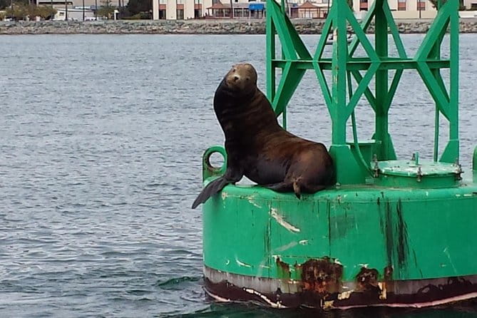 Small-Group Sunset Sailing Experience on San Diego Bay - FAQ