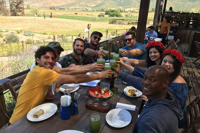 Luxury Private Wine Tasting Tour to Guadalupe Valley from San Diego - Introducing This Private Guadalupe Valley Wine Tour