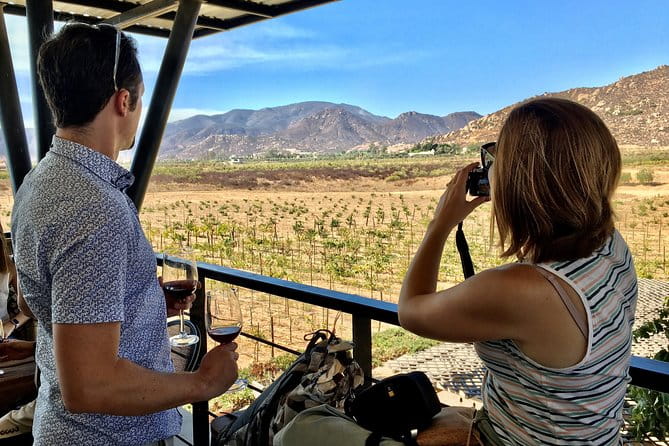Luxury Private Wine Tasting Tour to Guadalupe Valley from San Diego - How the Tour Works and What to Expect