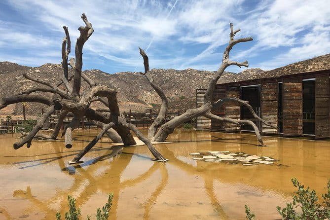 Luxury Private Wine Tasting Tour to Guadalupe Valley from San Diego - Authenticity and Flexibility: What Makes This Tour Stand Out