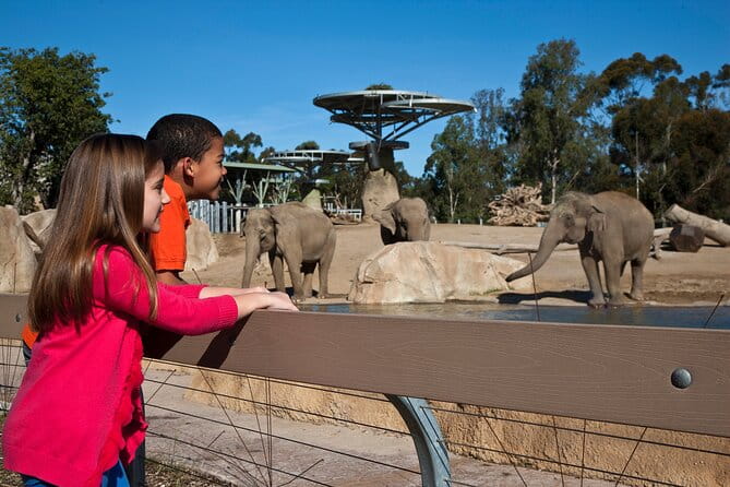 San Diego Zoo 1-Day Pass: Any Day Ticket - The Sum Up