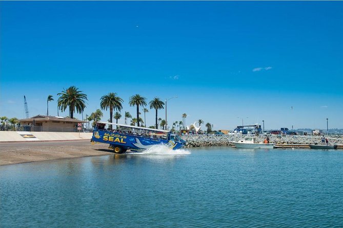 San Diego Seal Tour - What to Expect on the Water and on Land