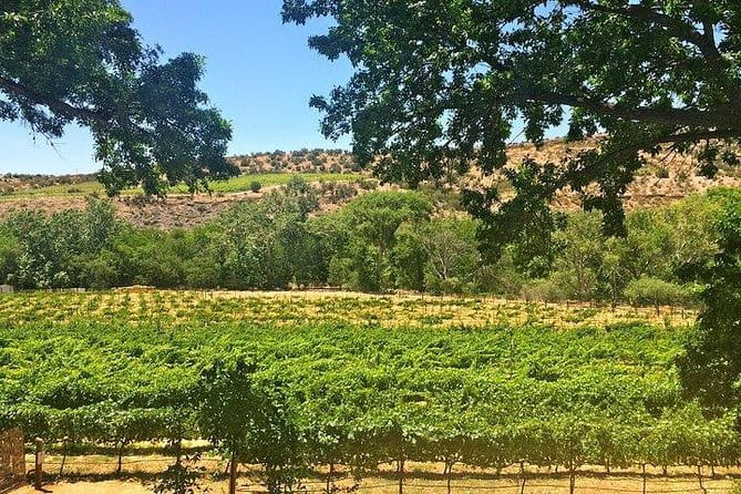 Bliss - Sedona’s Most Luxurious Wine Tour - Lunch Included! - Final Thoughts