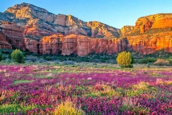 Scenic Sedona Tour - How to Get the Most Out of This Tour