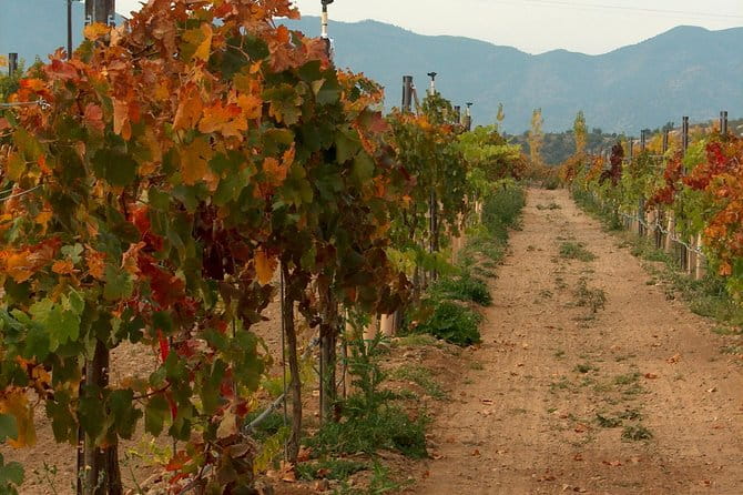 2 Hours Water to Wine Kayak Trip from Cottonwood - Itinerary Breakdown and What to Expect