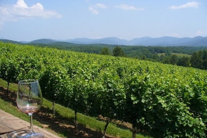 North Georgia Wine Country Tour from Atlanta - Practical Tips for Travelers