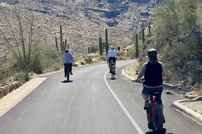 Saguaro National Park East E-Bike Tour - Final Thoughts: Is It Worth It?