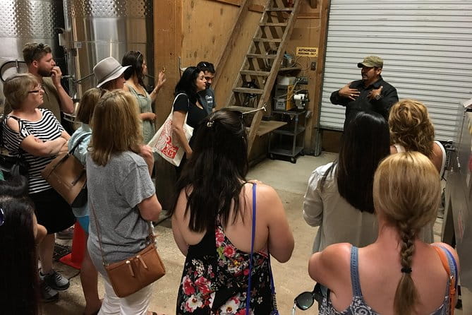 Taste of Fredericksburg Small-Group Wine Tour from San Antonio - The Guided Experience: Knowledge, Stories, and Personal Touches