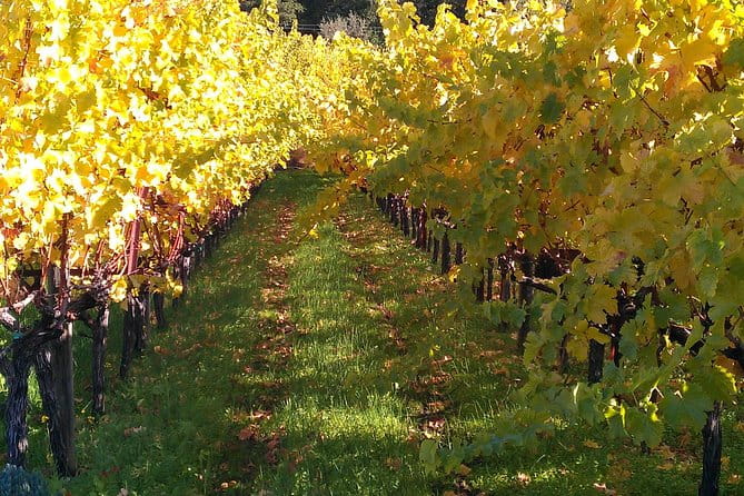 6 Hour Napa or Sonoma Valley Wine Tour by Private SUV - Who Should Consider This Tour?