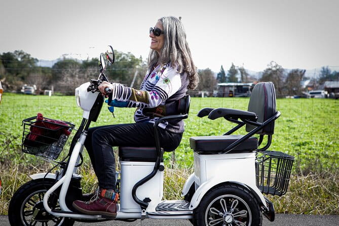 Sonoma Wine Country Electric Trike Tour - 3 hours - The Practicalities: What Does It All Cost and Why?