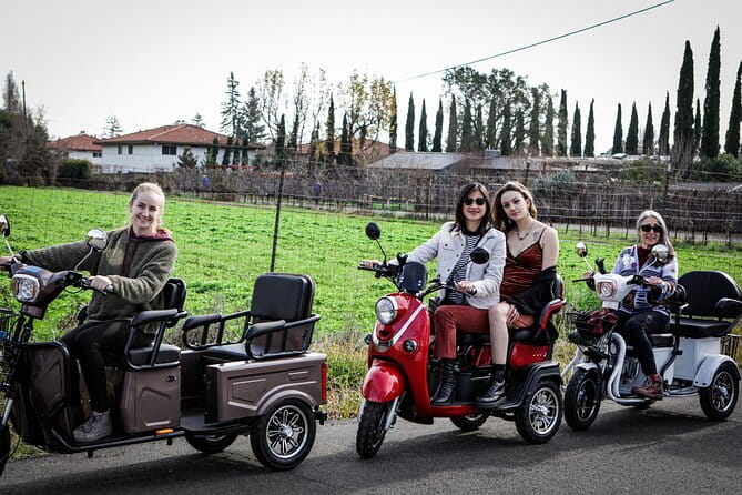 Sonoma Wine Country Electric Trike Tour - 3 hours - Final Thoughts