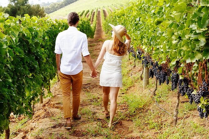 6hr | 12 Passenger Mercedes Limo Sprinter Bus - Wineries and Scenic Stops