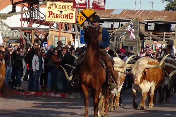 Dallas and Fort Worth City Sightseeing Tour Small-Group - Final Thoughts: Who’s This Tour For?