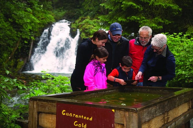 Juneau Whale Watching and Salmon Bake - Who Will Love This Tour?