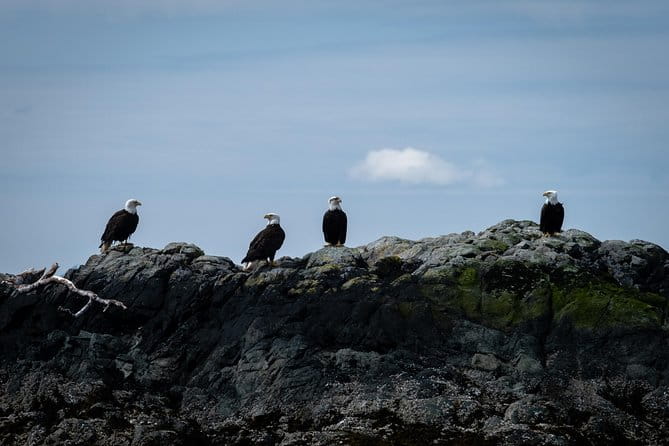 Lighthouse, Totems & Eagles Excursion - Is It Worth the Price?