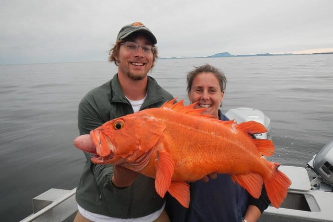 Private Fishing Charter in Ketchikan - Final Thoughts: Who Should Consider This Tour?