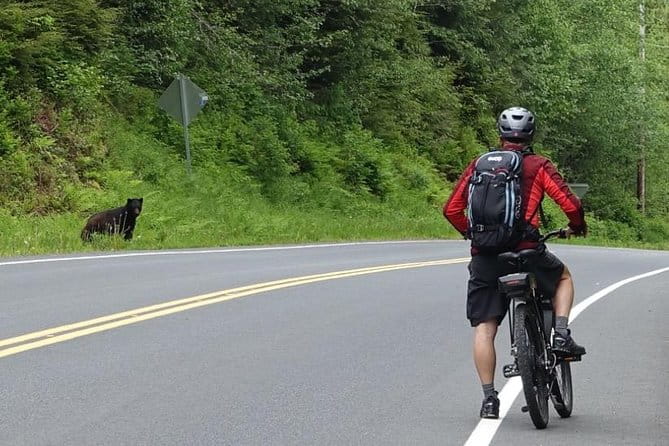 Ketchikan Electric Bike and Rain Forest Hike Ecotour - Authentic Encounters and Honest Reflections
