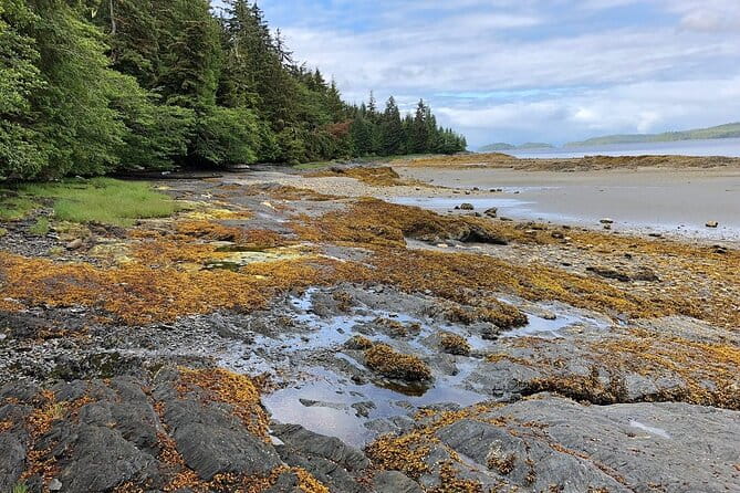 Ketchikan Electric Bike and Rain Forest Hike Ecotour - Practical Details: Planning Your Tour