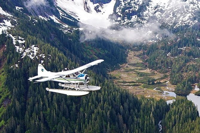 Misty Fjords Flight Tour - Is It Worth the Price?