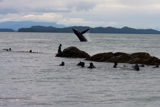Snorkel Alaska - Who Should Consider This Tour?