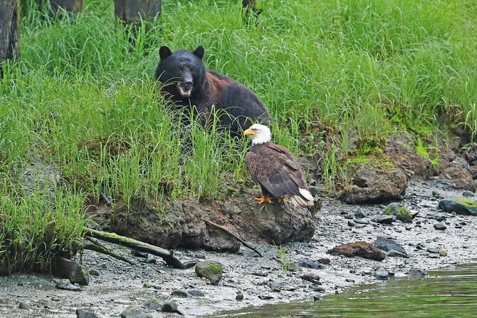 Alaska Native Cultural and Wildlife Adventure - Final Thoughts: Authentic, Educational, and Fun