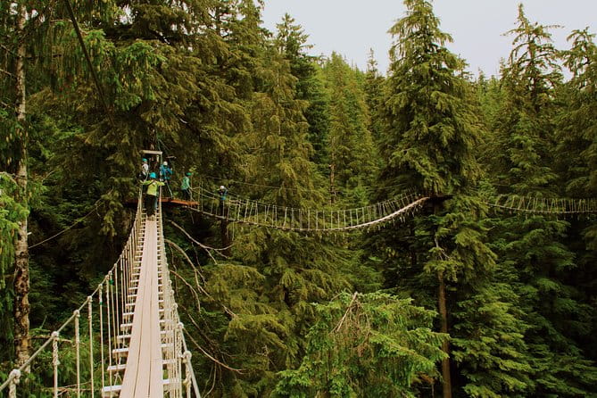 Rainforest Canopy & Zipline Adventure in Ketchikan, AK - The Sum Up