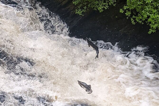 Ketchikan Duck Tour - Final Thoughts