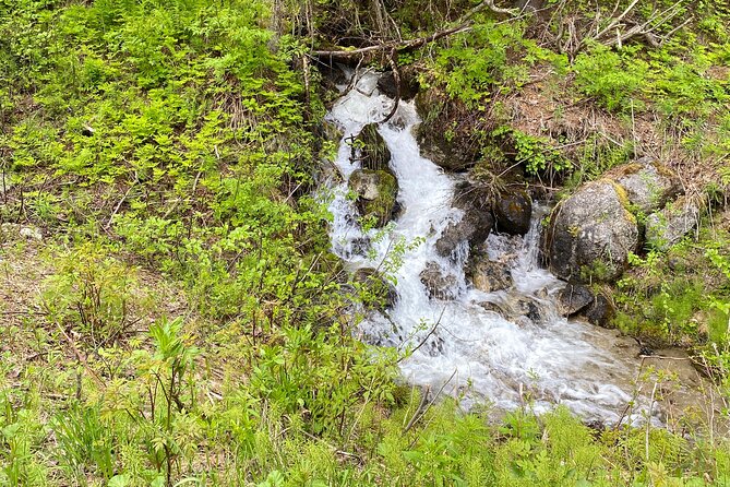 White Pass Deluxe Tour from Skagway - Who Will Love This Tour?
