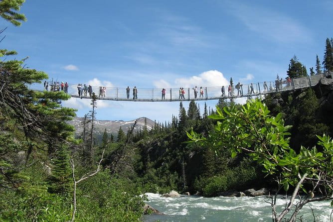 Yukon Suspension Bridge and Summit Tour - Is It Worth the Price?