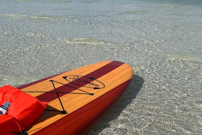 Dolphin and Manatee Adventure Tour of Naples with Florida History - What to Expect: A Detailed Look at the Tour Experience