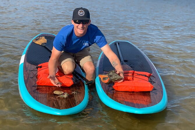 Dolphin and Manatee Tour of Marco Island by Kayak or SUP - A Close Look at the Marco Island Dolphin and Manatee Tour