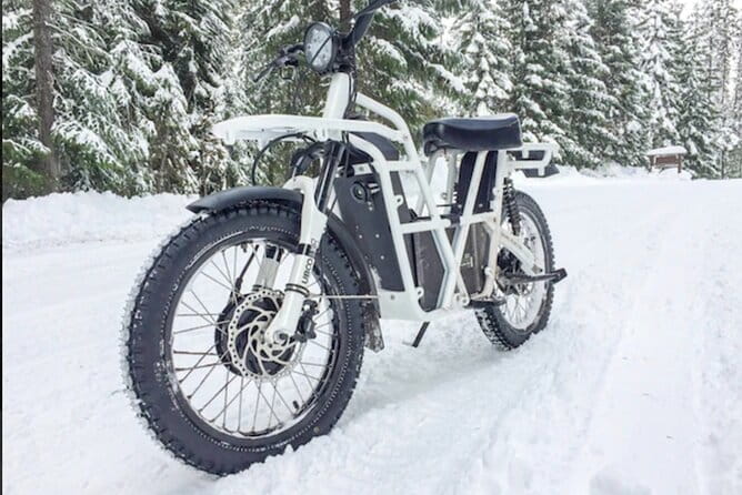 Electric Dirtbike Adventure in Lake Tahoe - An In-Depth Look at the Electric Dirtbike Tour