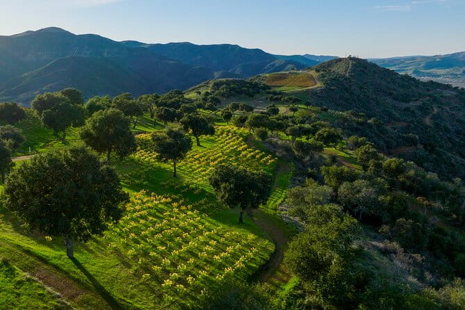 Epic Zipline Tour near Santa Barbara - A Close Look at the Epic Zipline Tour Experience
