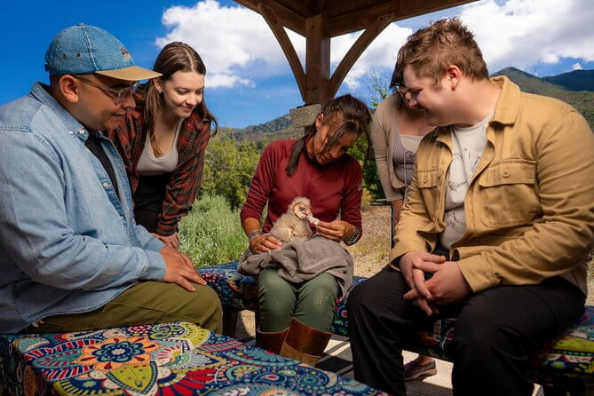 Experience Raptors and Falconry in Reno - The Educational Value and Guides