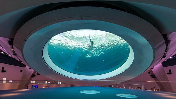 Frost Science Museum Admission Tickets - A Closer Look at the Frost Science Museum