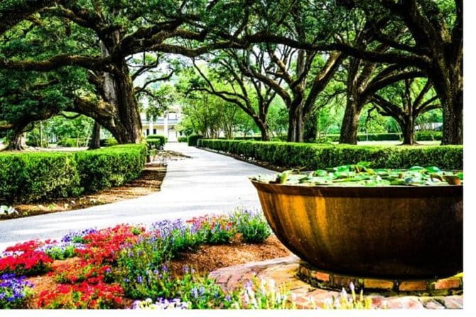 Garden District History and Homes Walking Tour - An In-Depth Look at the Tour Itself