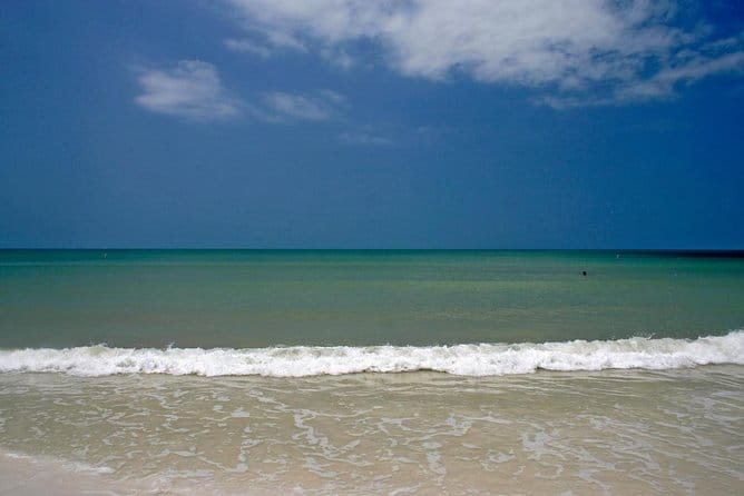 Half-Day Private Boating On Platinum Funship - Dunedin - Key Points