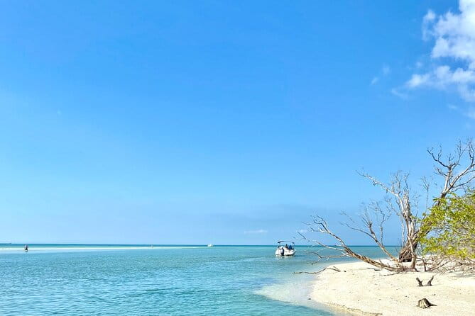 Half-Day Private Tiki Boat Beach Tour from Fort Myers - Discover the Charm of a Half-Day Private Tiki Boat Beach Tour from Fort Myers