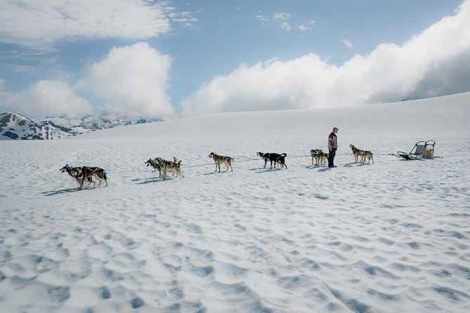 Helicopter Glacier & Dog Sledding Adventure Tour - An In-Depth Look at the Tour Experience
