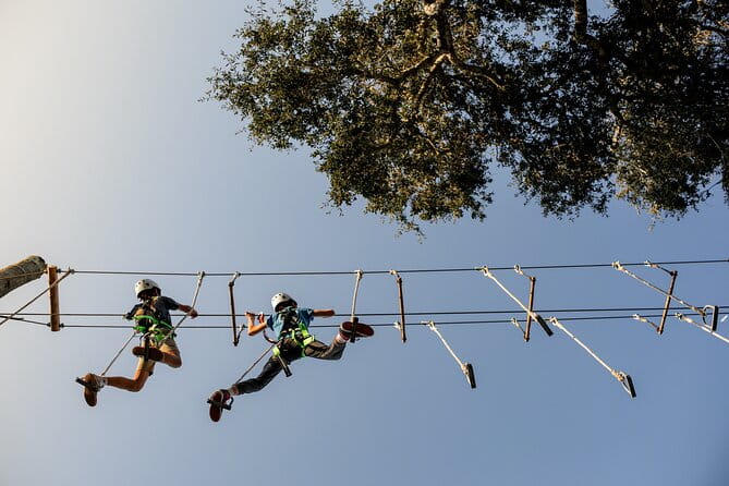 High Ropes Adventure Course near Santa Barbara - An Overview of the Experience