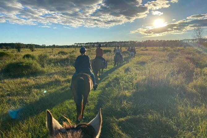 Horseback Ride on Scenic Lake Louisa Trails - Key Points